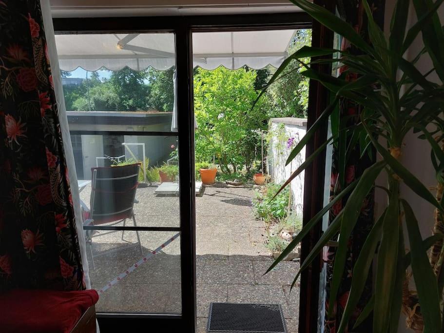 Grosszuegige Wohnung Mit Terrasse Wuerzburg, Zell Zell am Main Ngoại thất bức ảnh